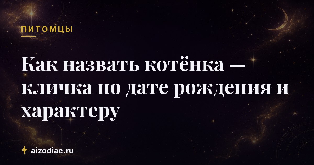 Как назвать котёнка — кличка по дате рождения и характеру