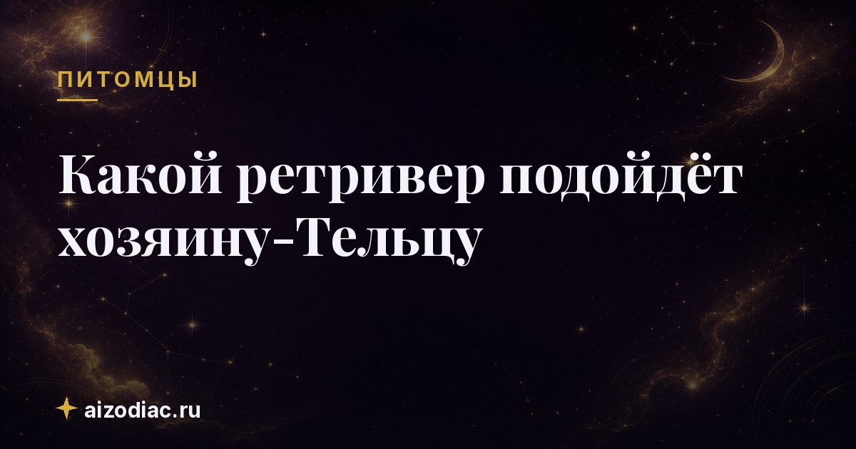 Какой ретривер подойдёт хозяину-Тельцу