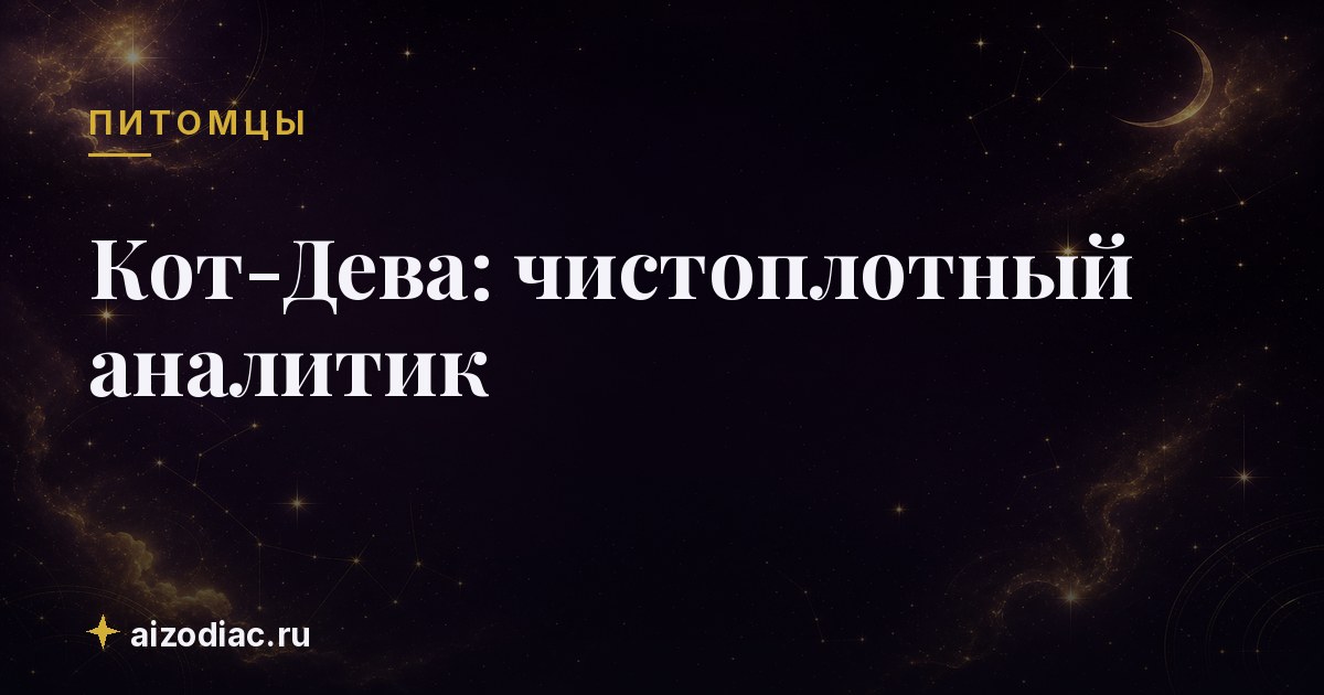 Кот-Дева: чистоплотный аналитик