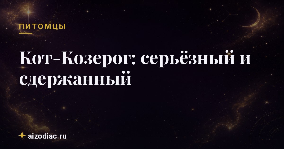 Кот-Козерог: серьёзный и сдержанный