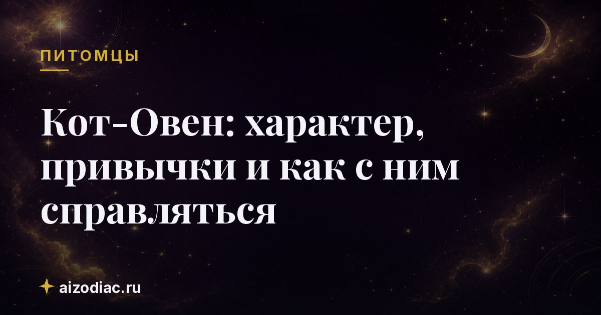 Кот-Овен: характер, привычки и как с ним справляться