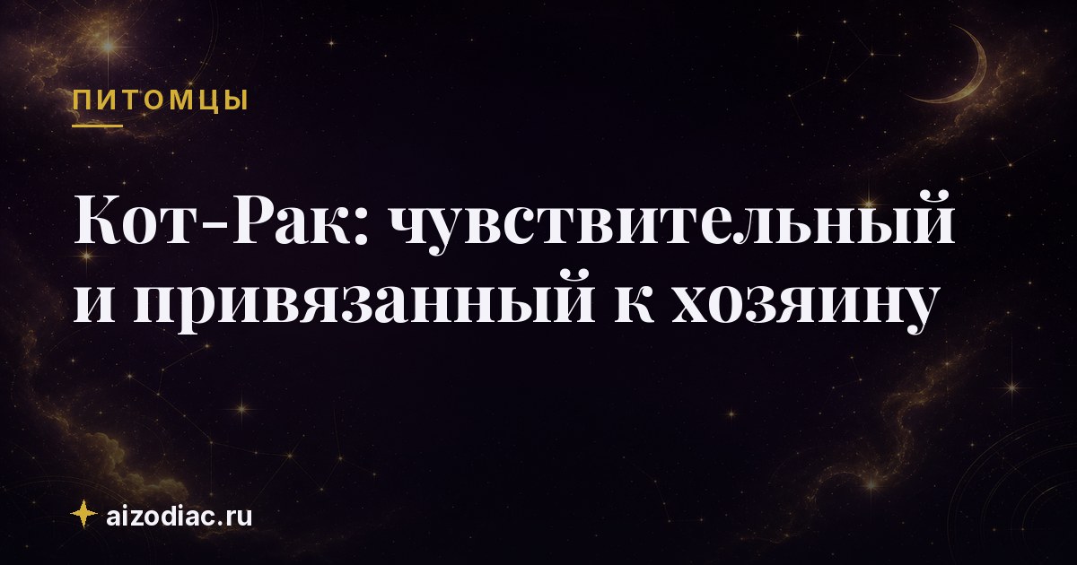 Кот-Рак: чувствительный и привязанный к хозяину